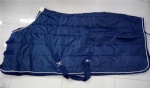 winter rug